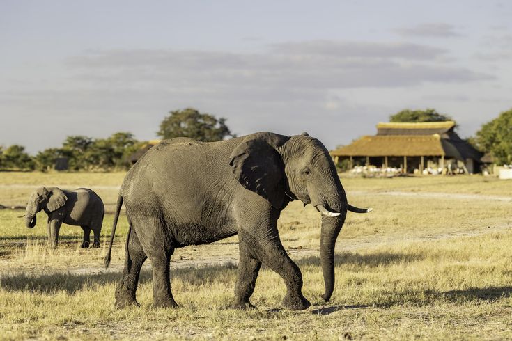 Hwange camping facilities