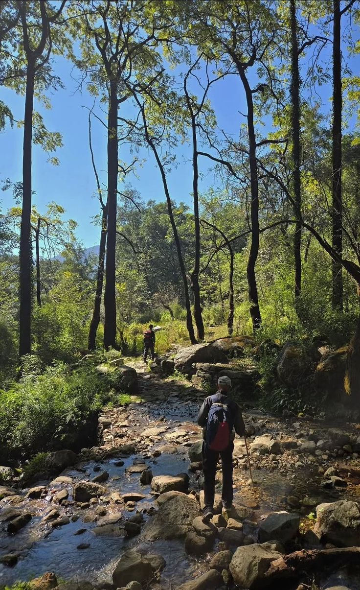 Eastern Highlands hiking